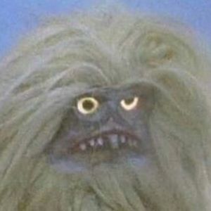 Meet your Posher, Belles